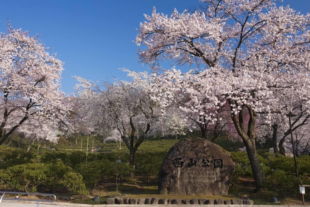 西山公園